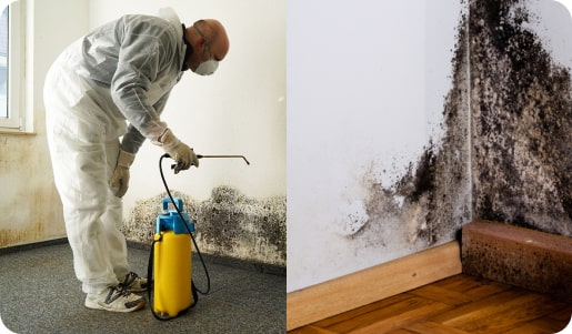 Looking to scale your mold removal restoration business? 